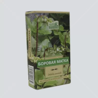 BOROVAYA MATKA